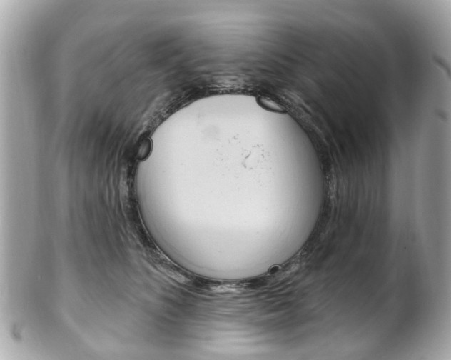 X0000102000516200807180851