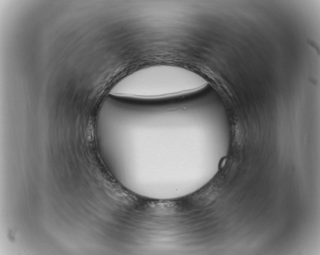 X0000102000517200807180851