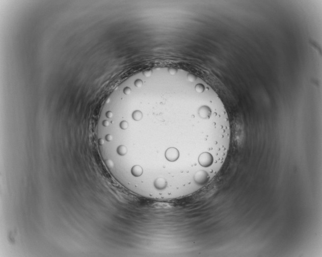 X0000102000519200807180851