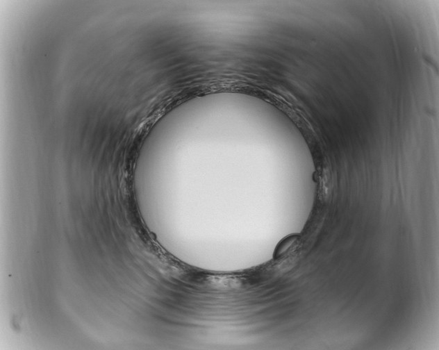 X0000102000520200807180851