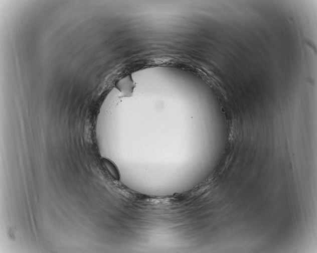 X0000102000524200807180851