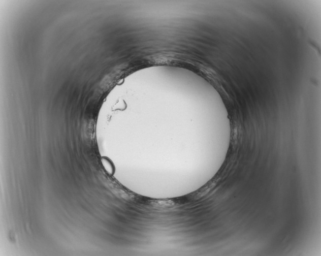X0000102000525200807180851