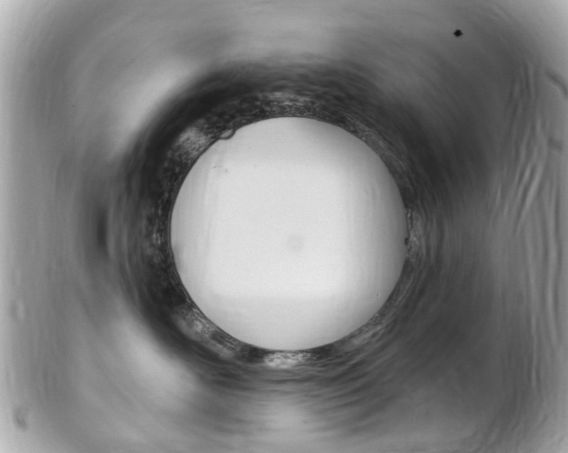X0000102000526200807180851