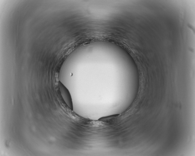 X0000102000528200807180851