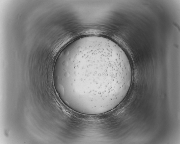 X0000102000529200807180850