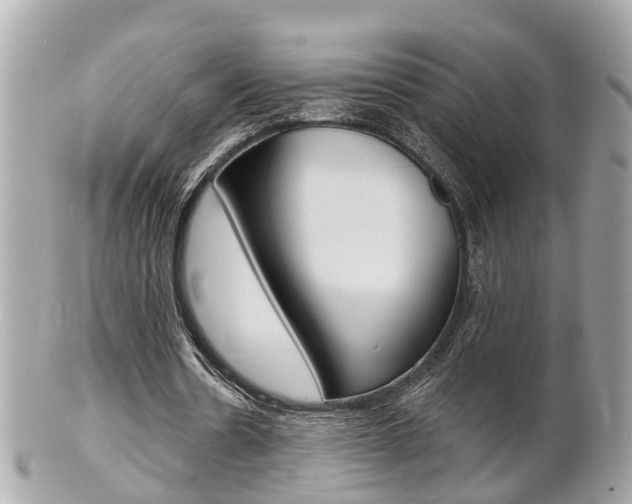 X0000102000530200807180850