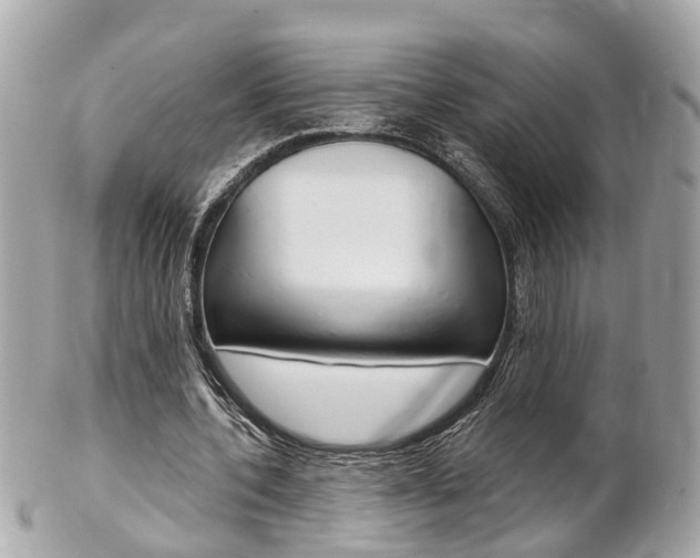 X0000102000532200807180850