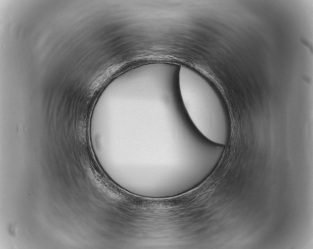 X0000102000533200807180850