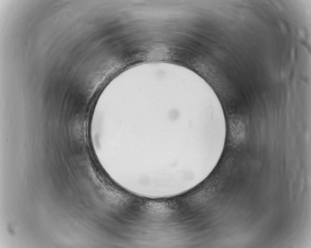 X0000102000534200807180850