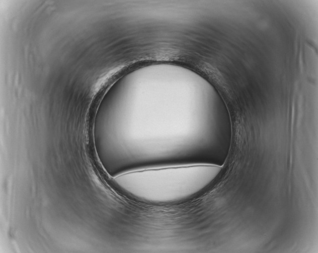 X0000102000536200807180850