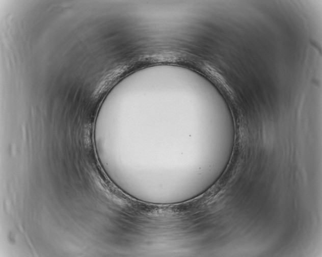 X0000102000537200807180850