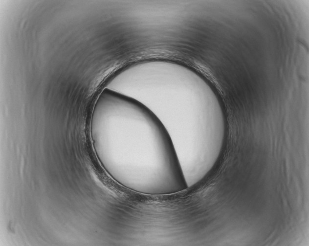 X0000102000538200807180850