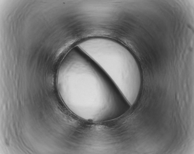 X0000102000539200807180850