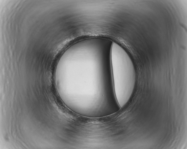 X0000102000540200807180850