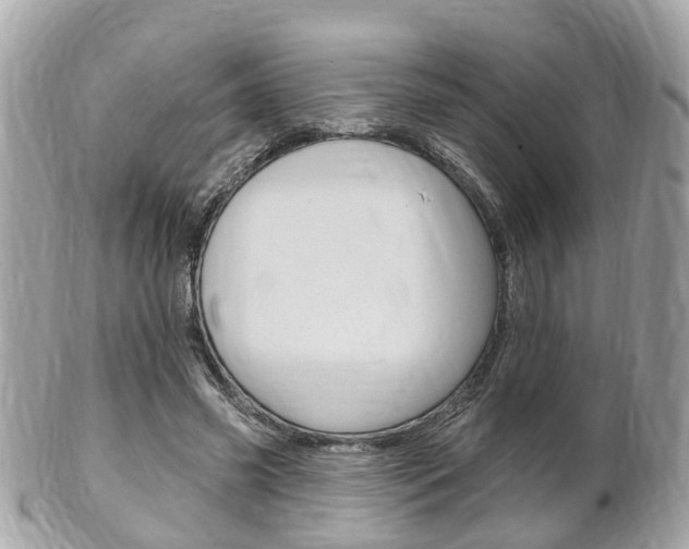 X0000102000541200807180850