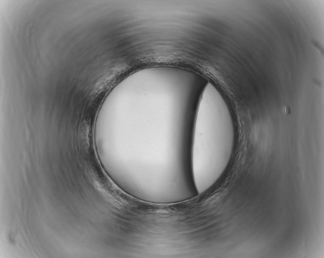 X0000102000542200807180850