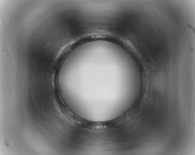 X0000102000543200807180850