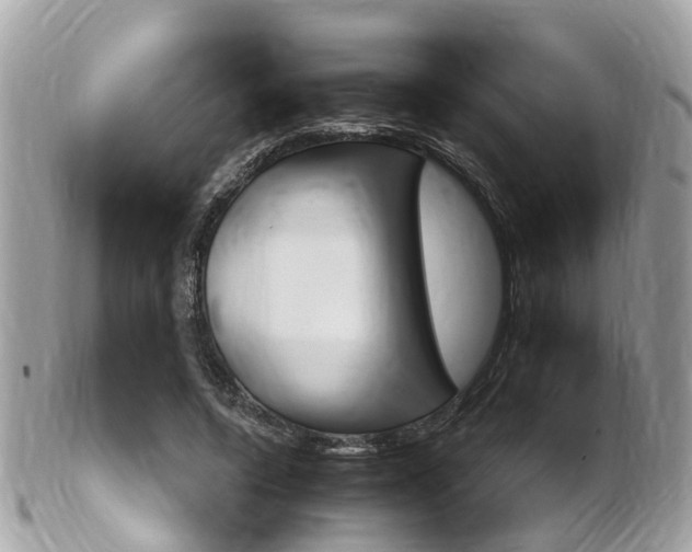 X0000102000544200807180850