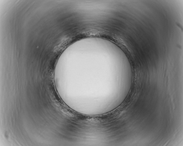 X0000102000545200807180850
