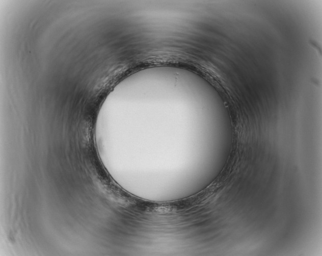 X0000102000546200807180850