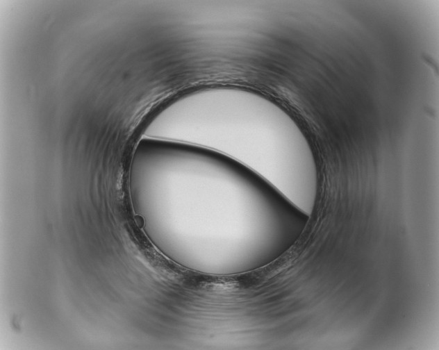 X0000102000548200807180850