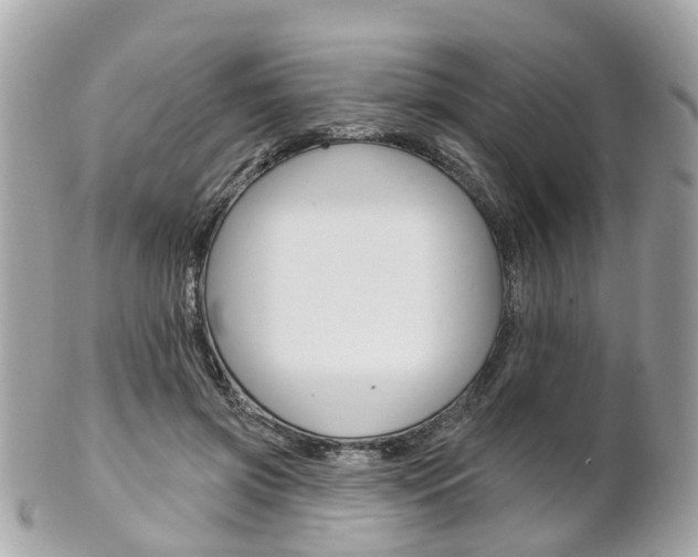X0000102000549200807180850