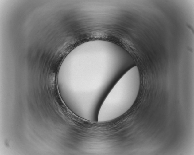 X0000102000550200807180850