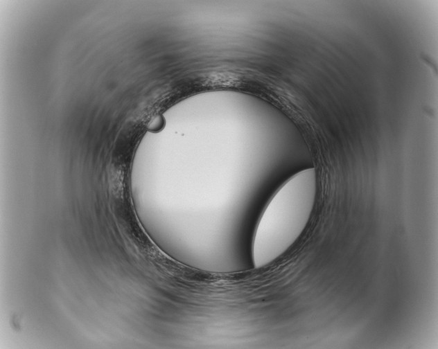 X0000102000551200807180850