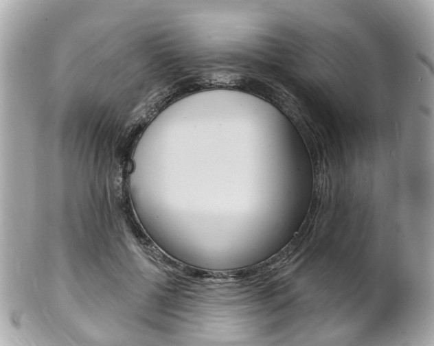 X0000102000552200807180850