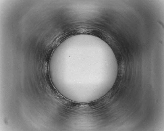 X0000102000554200807180850