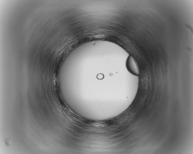 X0000102000555200807180850