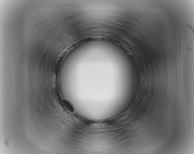 X0000102000556200807180850