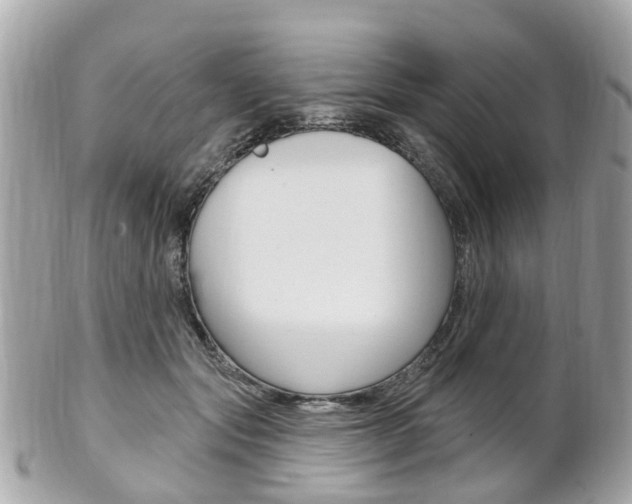 X0000102000557200807180851