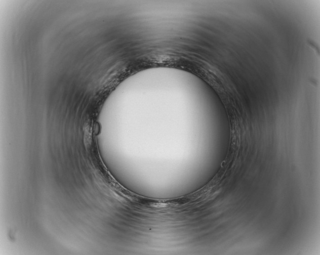 X0000102000558200807180851