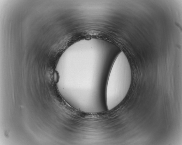 X0000102000559200807180851