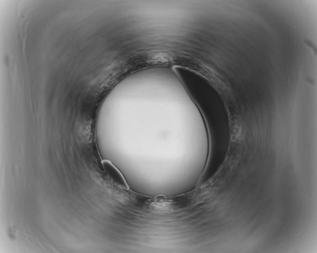 X0000102000560200807180851