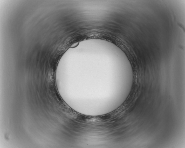 X0000102000561200807180851
