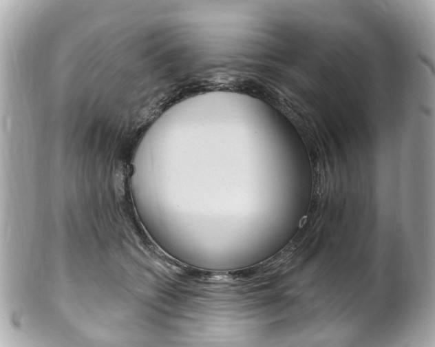 X0000102000562200807180851
