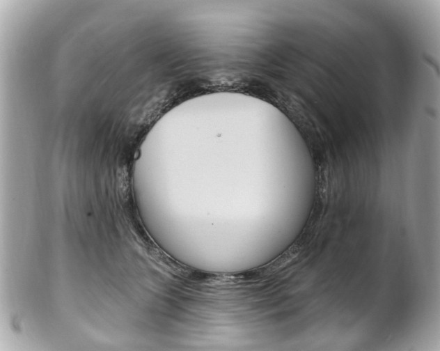 X0000102000563200807180851