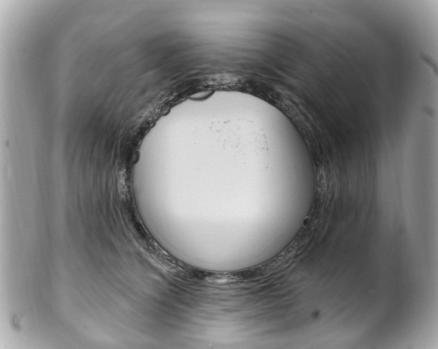 X0000102000564200807180851