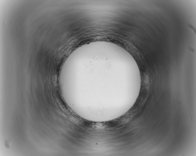 X0000102000565200807180851