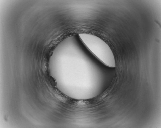 X0000102000566200807180851