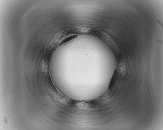X0000102000568200807180851