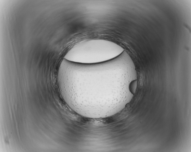 X0000102000569200807180851