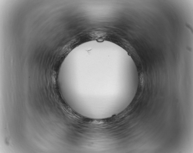X0000102000570200807180851