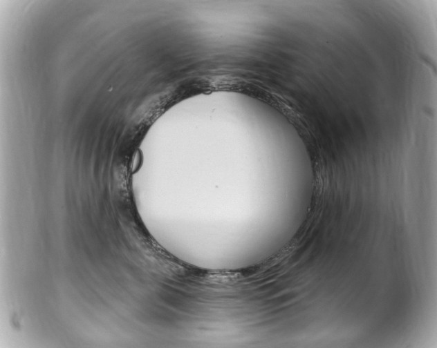 X0000102000571200807180851