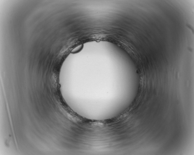 X0000102000572200807180851