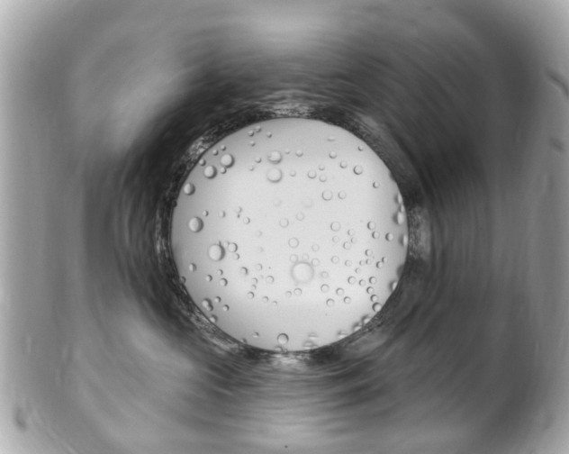 X0000102000573200807180851