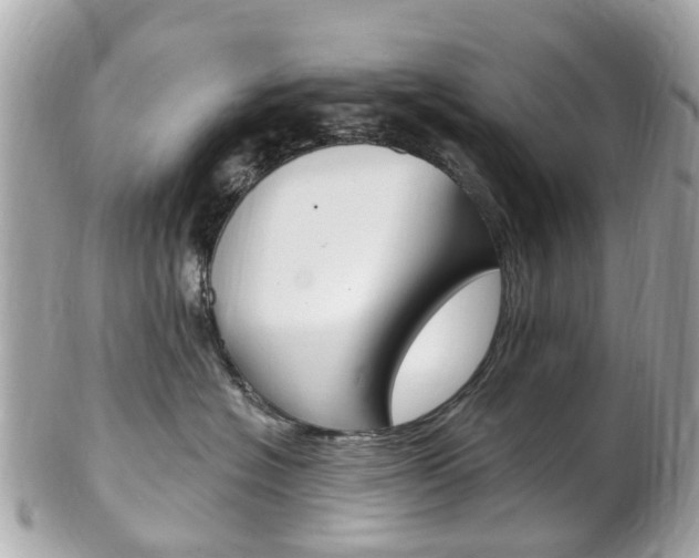 X0000102000574200807180851