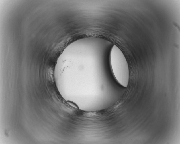 X0000102000575200807180851
